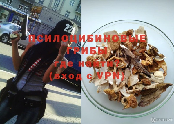 МДПВ Богородицк