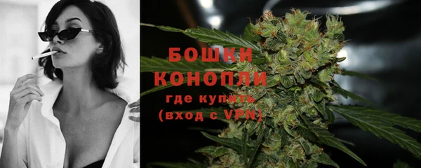 МДПВ Богородицк