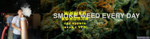 МДПВ Богородицк
