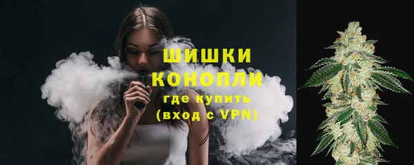 МДПВ Богородицк