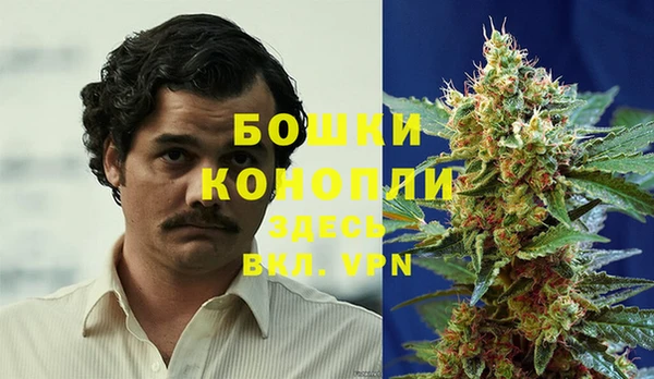 МДПВ Богородицк