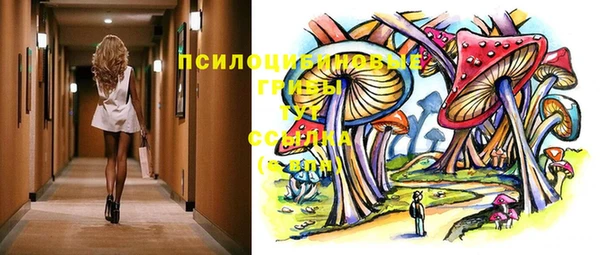 амф Богородск