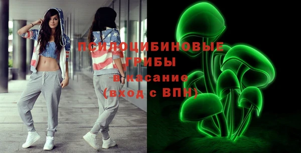 МДПВ Богородицк