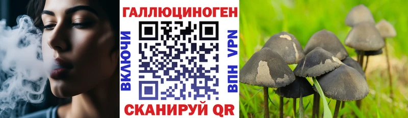 где найти наркотики  Нерюнгри  Псилоцибиновые грибы Magic Shrooms 